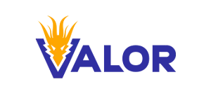 Valor Aviator Logo